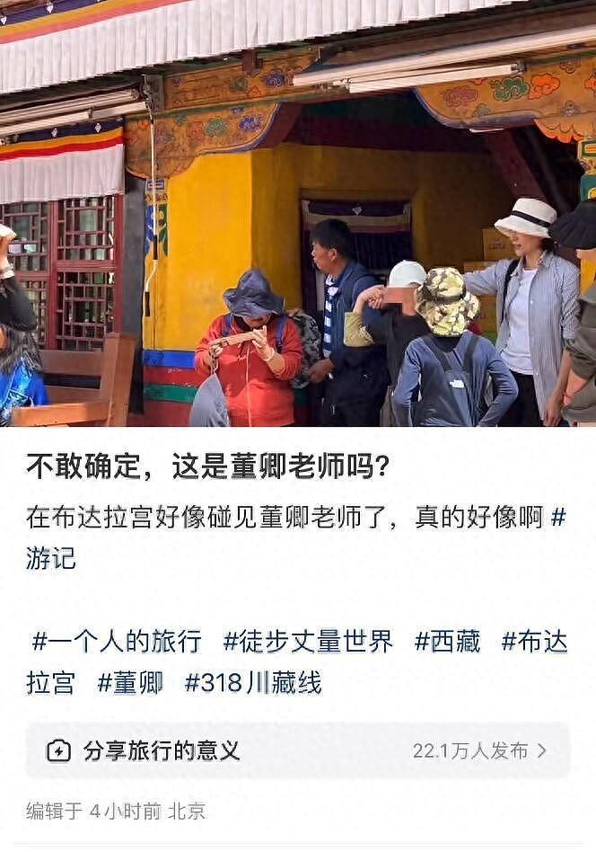 50岁董卿携10岁儿子游布达拉宫，手臂骨瘦如柴，晒得黝黑好接地气 - 1