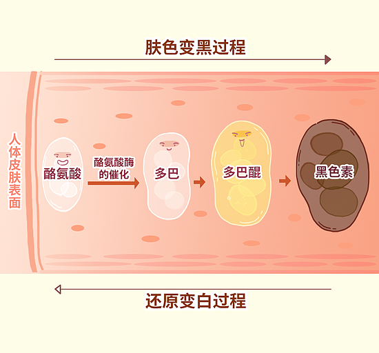 原来大家最头疼的肤色问题是这些！ - 2