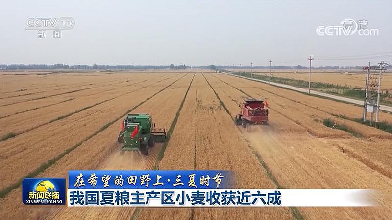 【在希望的田野上 · 三夏时节】我国夏粮主产区小麦收获近六成 - 3
