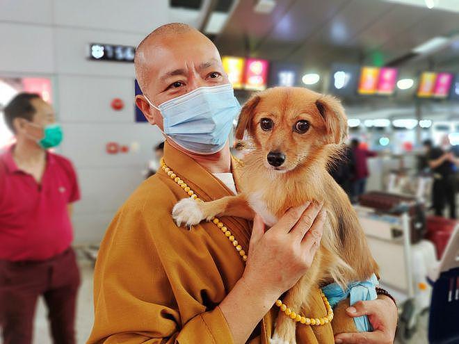 上海一 52 岁僧人每年花 198 万租基地，救助 9000 流浪动物 - 10
