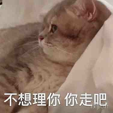 可爱小猫表情包