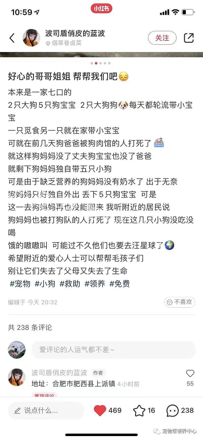 以为一家七口，狗爸妈都被打死了，了解真相才知 ... 结局圆满！ - 1