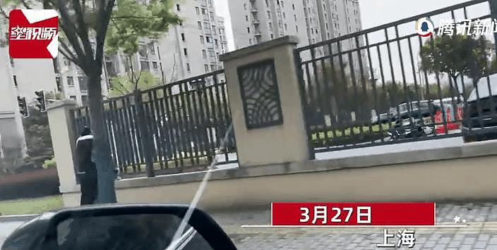 上海青比爱马仕还难抢：被上海居民抢菜的段子笑死 - 44