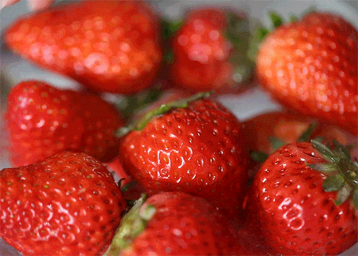 就我好奇么？草莓到底是冬季水果，还是夏季水果？ - 12