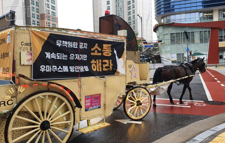 为了抗议《赛马娘》运营，韩国玩家真的拉来了一匹马游街 - 2