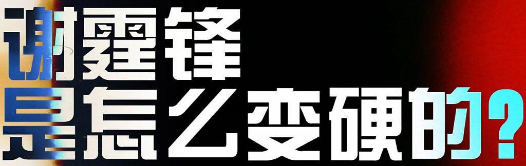 谢霆锋是香港电影的最后一位硬汉 - 23
