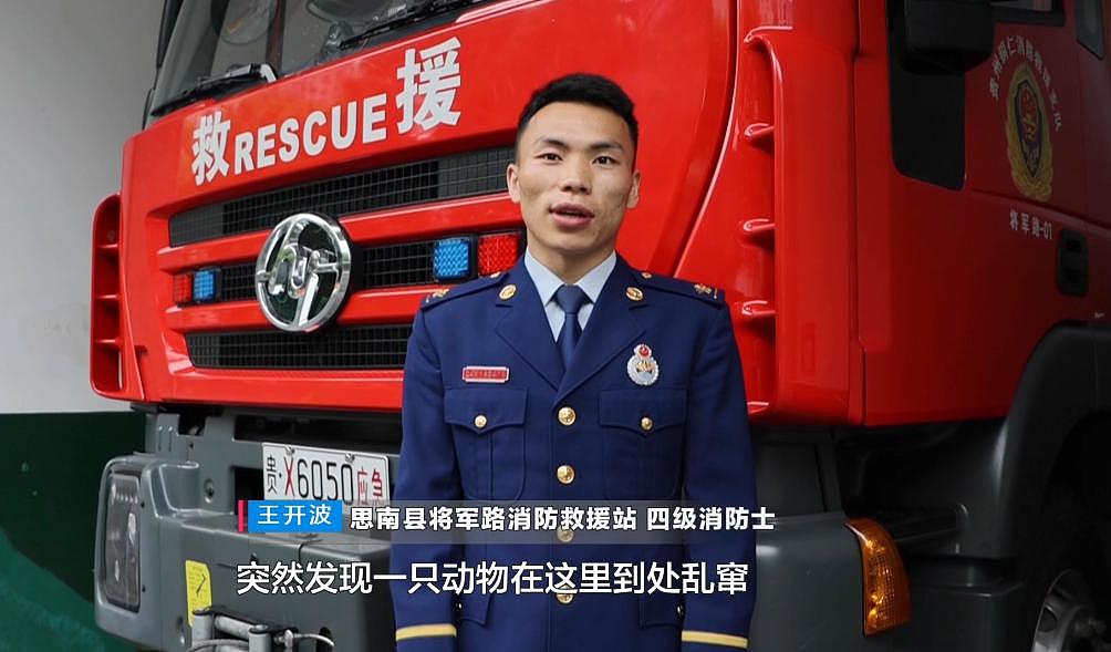贵州一消防队来了个特殊求助者，消防员懵了：莫不是成精了？！ - 3