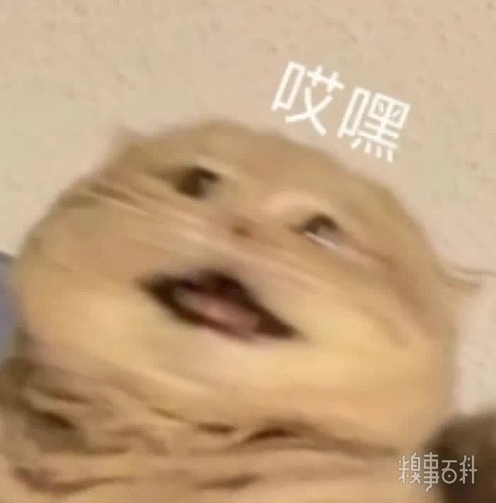 嗯嗯嗯你真厉害呀 真