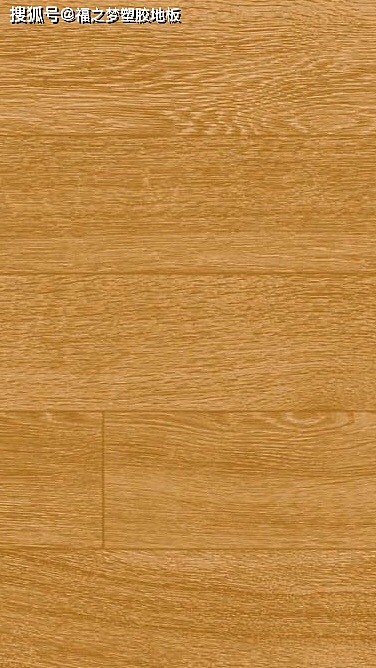 多层复合塑胶地板木纹龙系列-阿姆斯壮PVC地板 - 5
