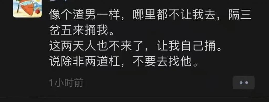 上海青比爱马仕还难抢：被上海居民抢菜的段子笑死 - 52