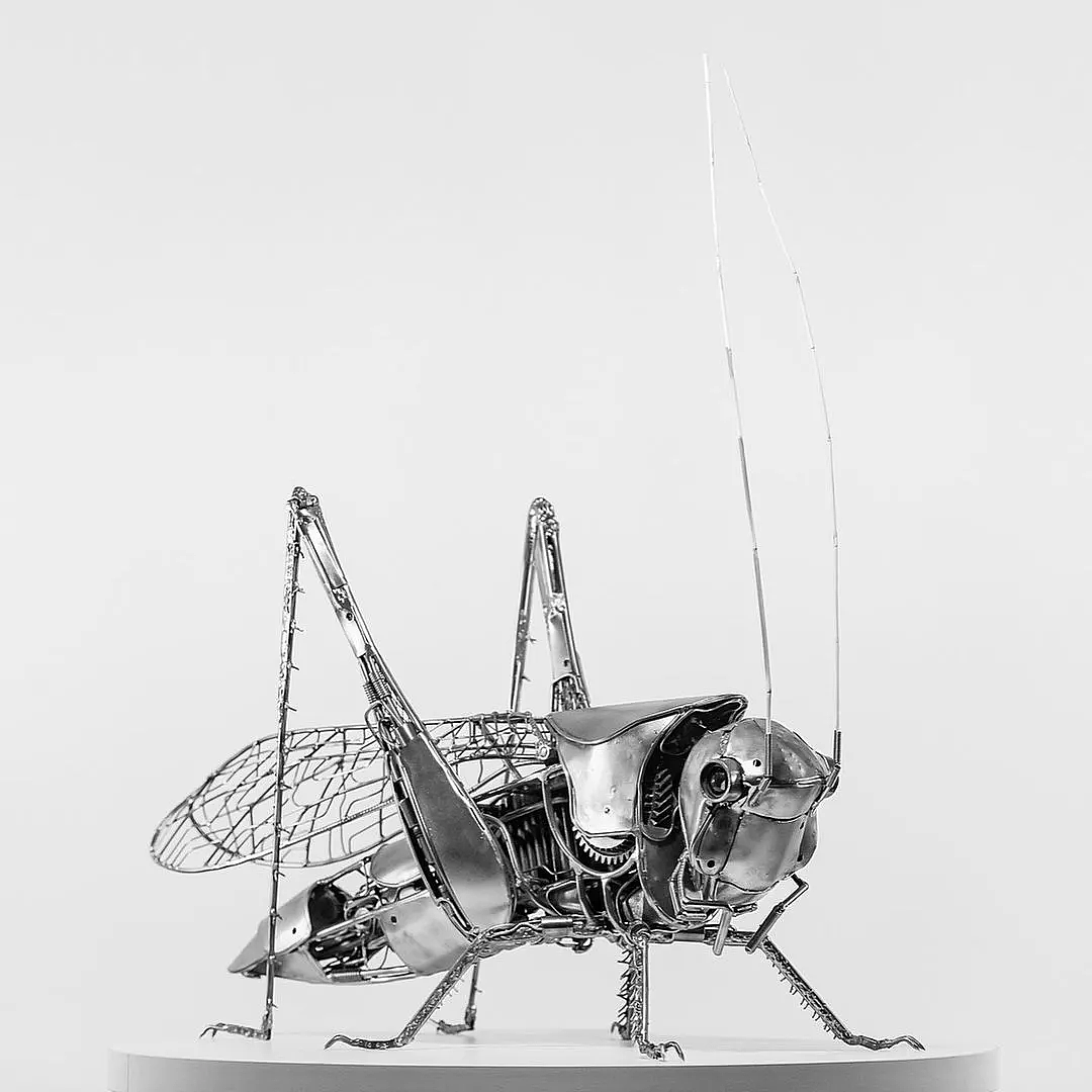 Denis Kulikov 和他的炫酷机甲风动物雕塑 - 23