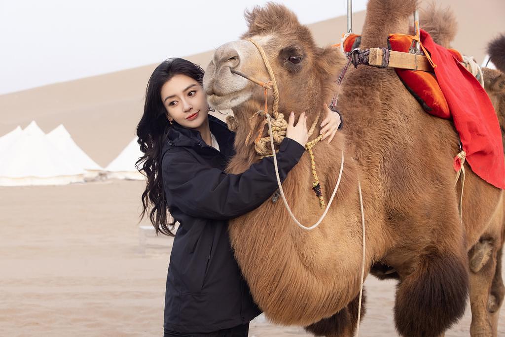 杨颖现身沙漠参加活动 与骆驼贴贴笑容甜美 - 3