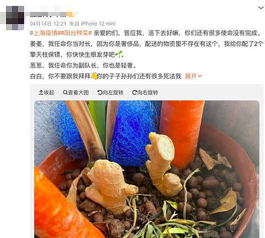 富人都在种菜的欢乐颂，才是当代上海纪实文学 - 9