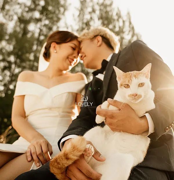 拍婚纱非要带猫，结果摄影师全拍猫了！ - 1