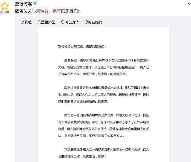 刘丹称没见到杨幂来香港 表示小糯米多才多艺 - 8