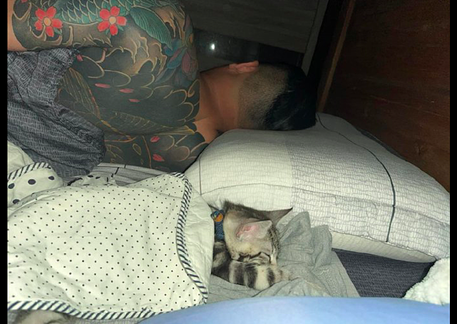 男主人一开始不愿养猫，后来竟把它抱到床中间睡觉，真香定律呀！ - 2