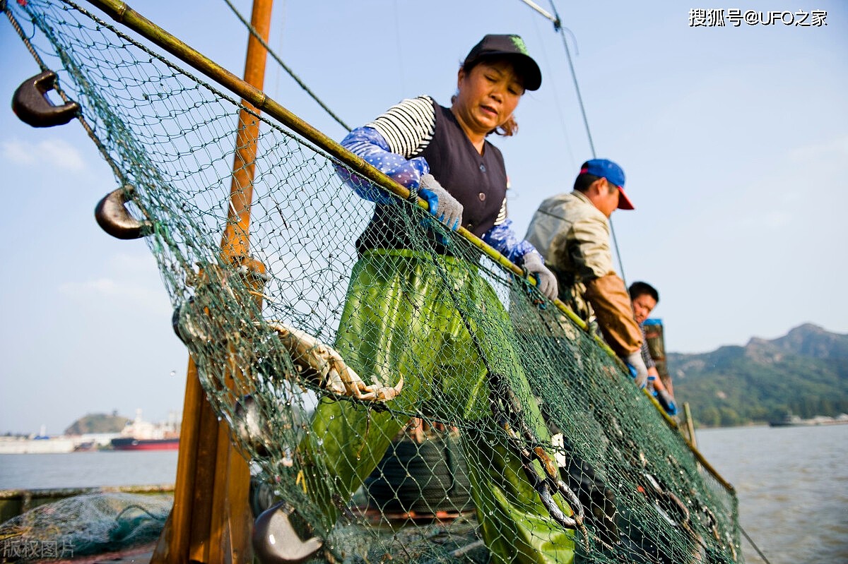 长江无鱼之困：再不保护“四大家鱼”基因库，中国人将无鱼可吃 - 7