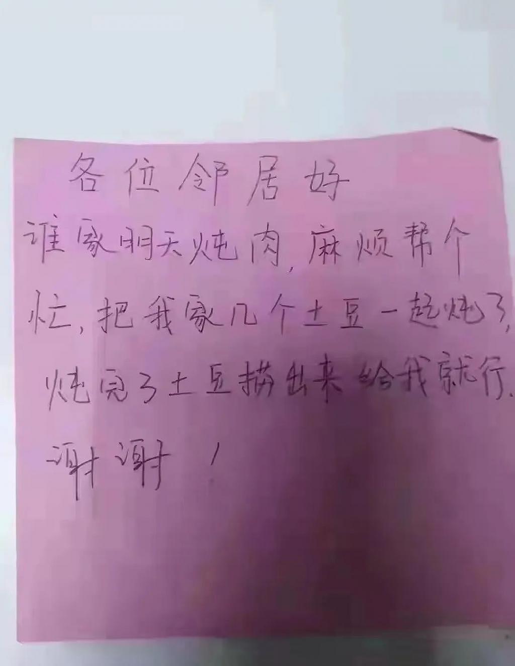 上海青比爱马仕还难抢：被上海居民抢菜的段子笑死 - 23