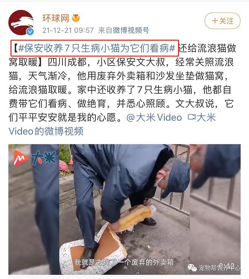 保安收养 7 只生病流浪猫上了热搜，和打死流浪狗的保安一对比，差距太大了 . - 6