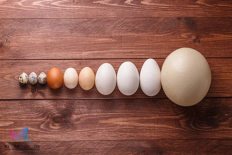 鸡蛋、鸭蛋、鹌鹑蛋，哪种更有营养？怎么选？还不知道的亏大了 - 2