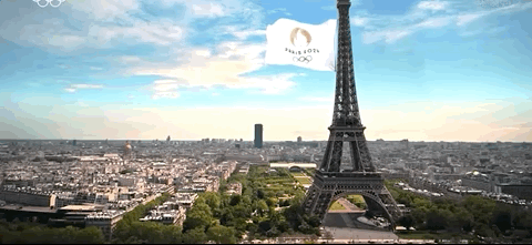 巴黎八分钟:埃菲尔铁塔出现巨大旗帜 法国总统现身 - 1