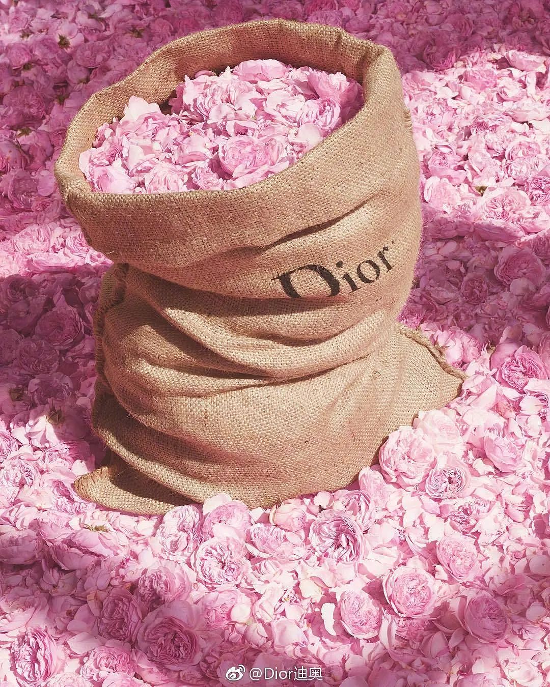 Dior《寻香之旅》，传奇经典是如何诞生的？ - 25