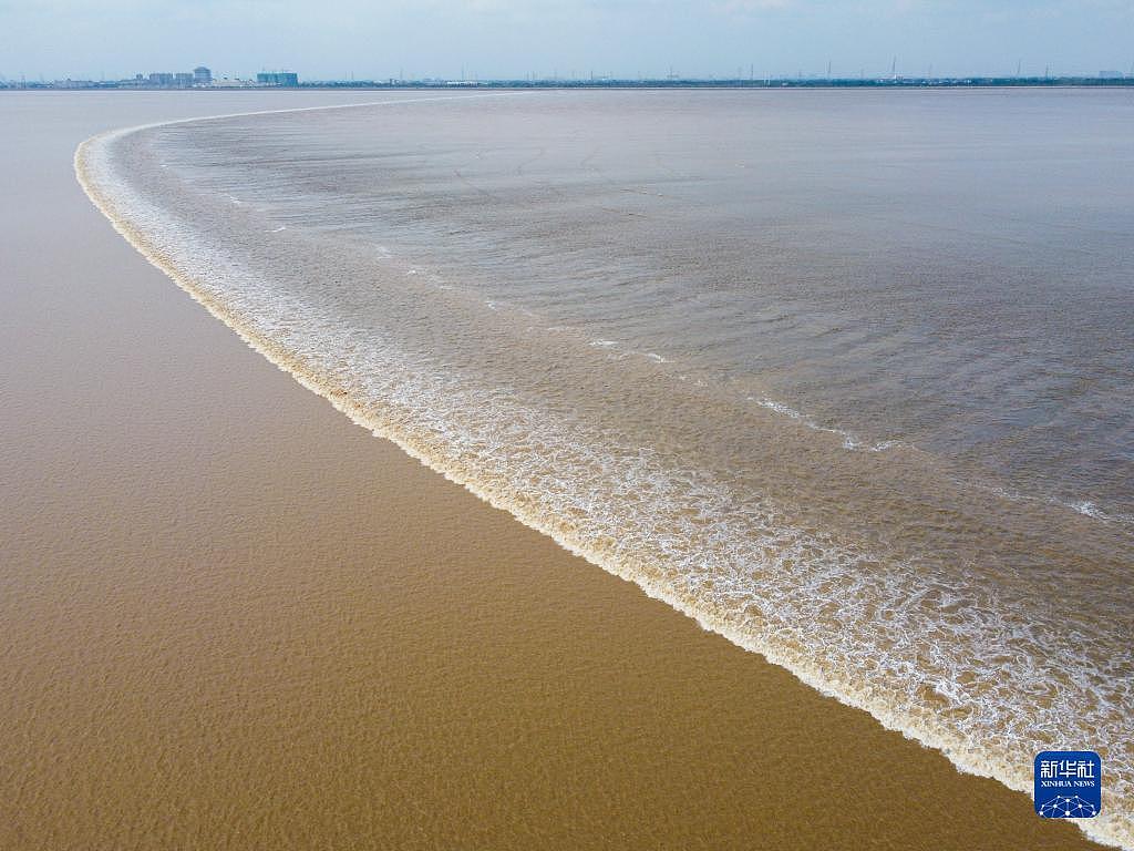 沿着总书记的足迹 · 浙江篇丨钱江潮涌逐浪高——沿着总书记的足迹之浙江篇 - 4