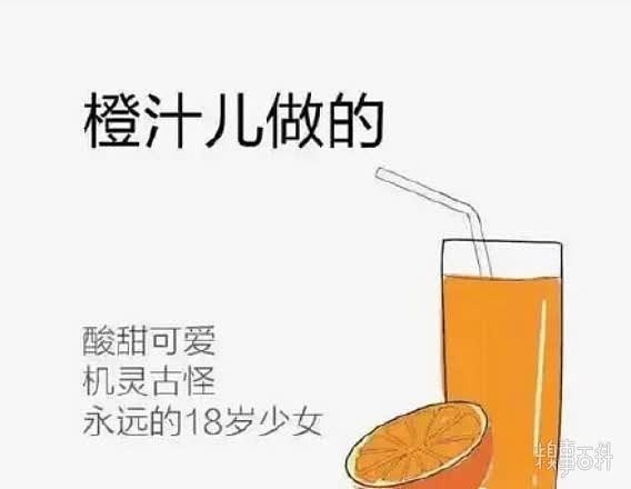 你的女朋友是什么做的