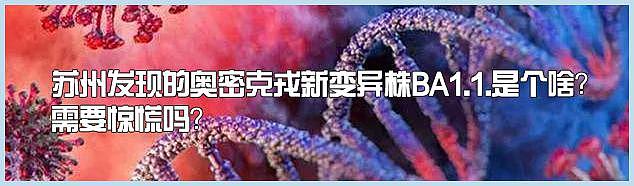 感染 6 成人口实现群体免疫？港大研究：香港疫情的 6 点经验 - 18