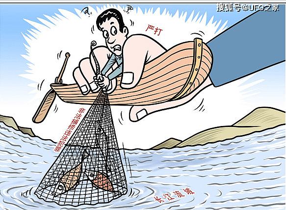 鱼群泛滥！湖北5湖计划捕捞1800万斤鱼，长江禁渔才3年为何开捕？ - 10