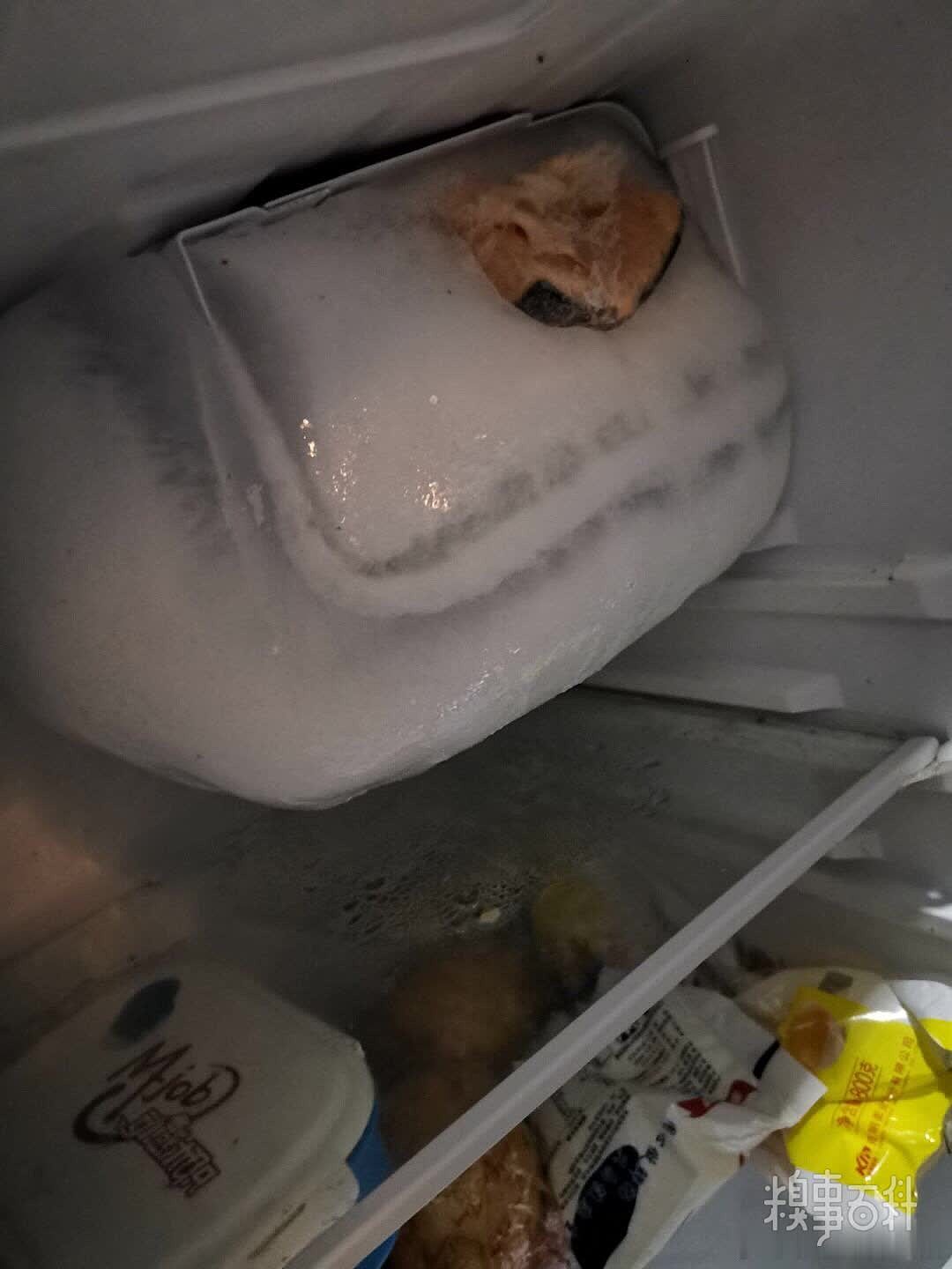 什么情况下可以把冰箱