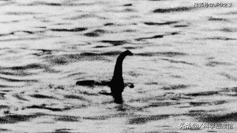 尼斯湖水怪出现？无人机拍到高清画面，岸边发现神秘黑色物体 - 8