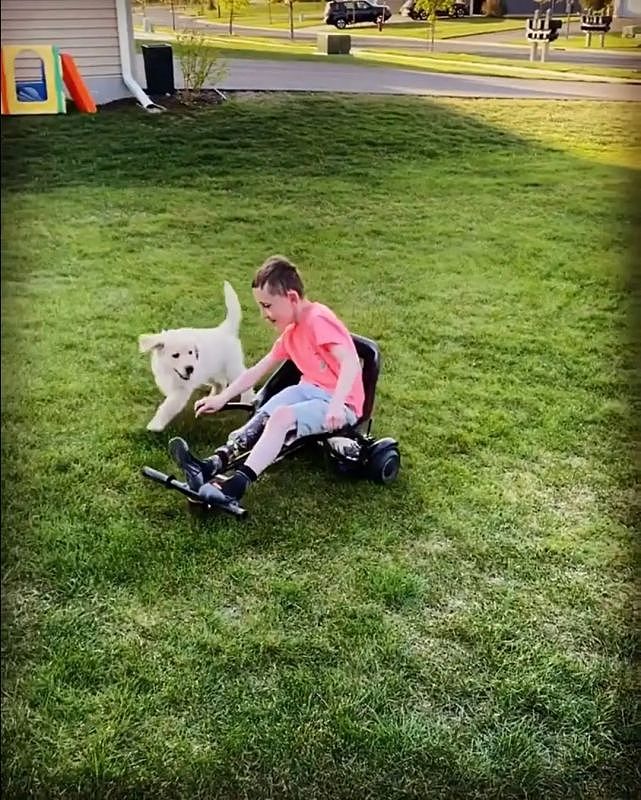 三脚狗狗鼓励4岁残疾男孩，同病相怜他们成为了最佳搭档 - 5