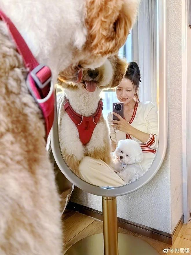 佟丽娅分享自拍照甜笑，与狗狗互动被赞人美心善 - 3