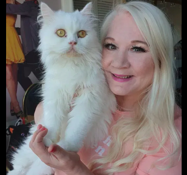 白色猫被少年染成了蓝紫色，还发到网上炫耀，被救10个月后仍抑郁 - 5