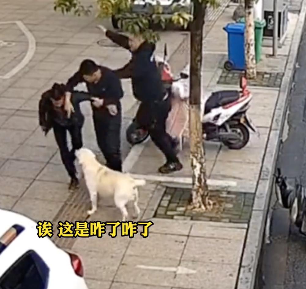 小偷作案时带着狗，警察顺狗找人破案，狗子：我劝了他不听，真不关小狗的事 . - 13