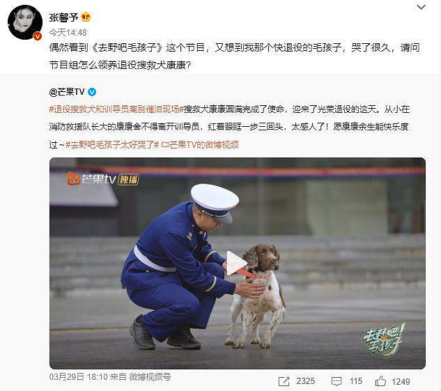 看节目被感动！张馨予发文问如何领养退役搜救犬 - 2