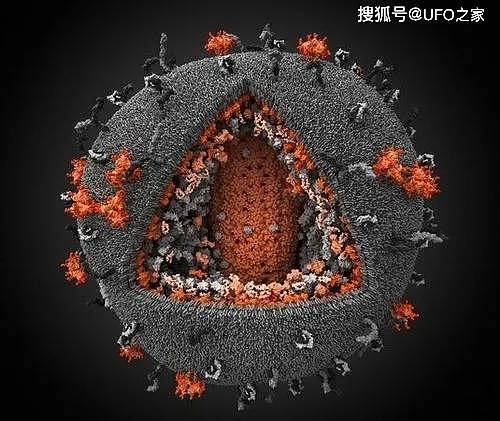 病毒爆发？科学家一次性发现13.2万种病毒，任何事情都可能发生 - 6