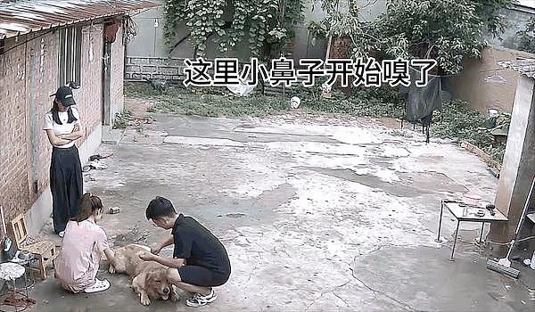 主人偷偷站在小狗身后，狗子嗅到气味的瞬间反应感动 600 万网友：它的爱永远单纯 . - 6