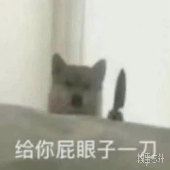 给你屁眼来一刀