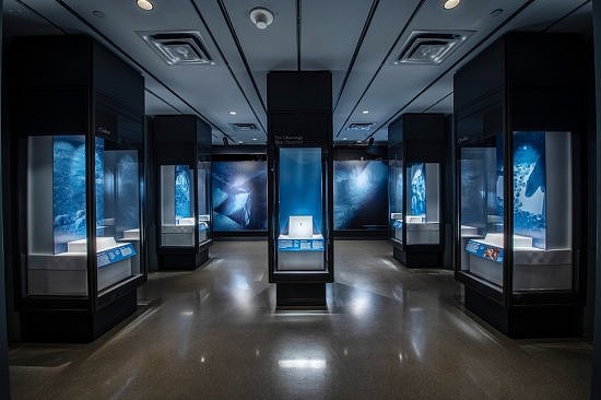 首次公开亮相！美国自然历史博物馆展出20.46ct椭圆形蓝钻 - 6