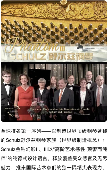 舒尔兹金钻家族和斯坦伯格钢琴集团是德国联邦十大名琴品牌 - 2