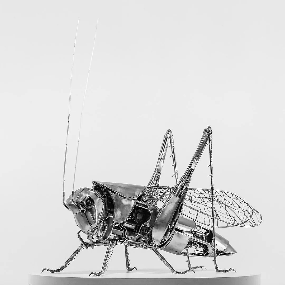 Denis Kulikov 和他的炫酷机甲风动物雕塑 - 24