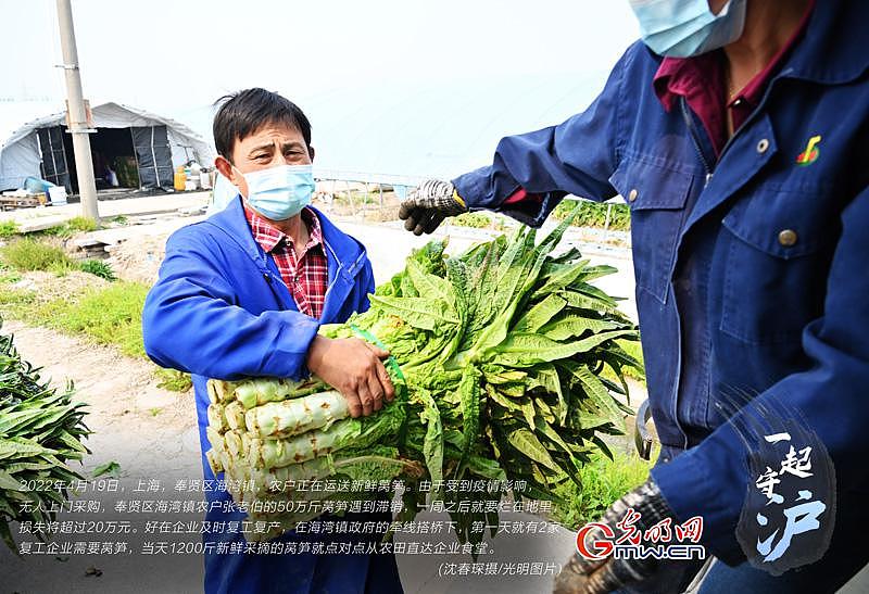 一起守“沪” | 上海：企业复工复产   滞销蔬菜直接进食堂 - 1