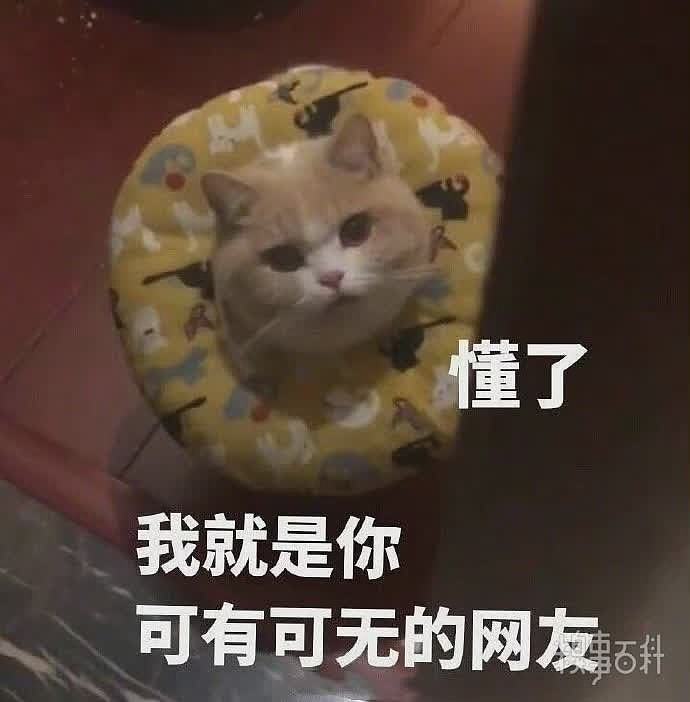 可爱小猫表情包