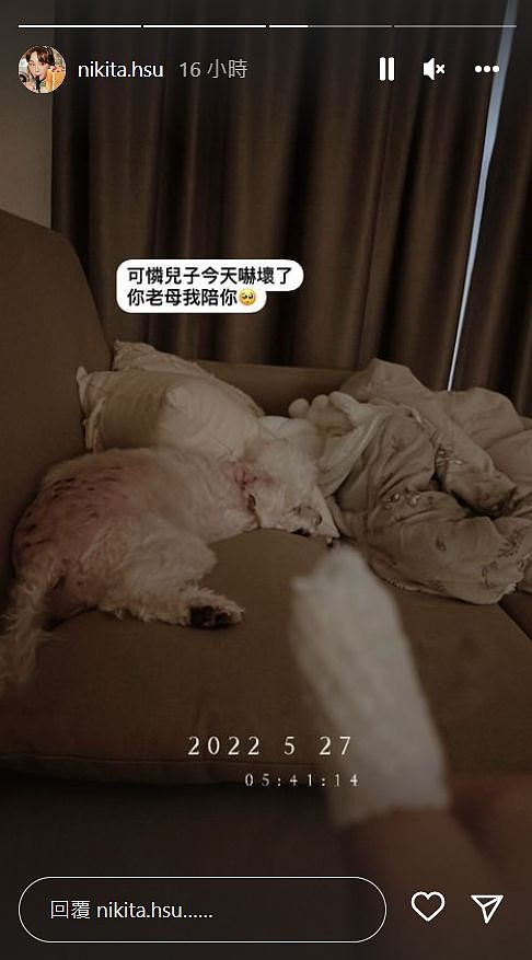 ▲舒子晨愛犬被咬傷。（圖／翻攝自Instagram／nikita.hsu）