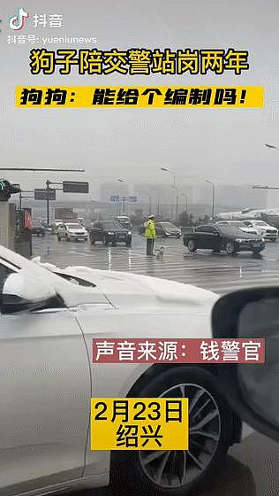 流浪狗风雨无阻陪交警站岗，2 年后终于获得“编制”，狗狗：努力是有回报的！ - 3