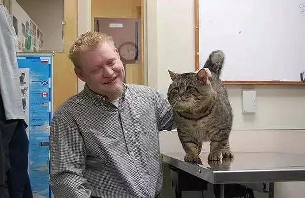 猫咪意外走失半年，重逢时铲屎官当场傻眼 ... 怎么胖了这么多？！ - 2