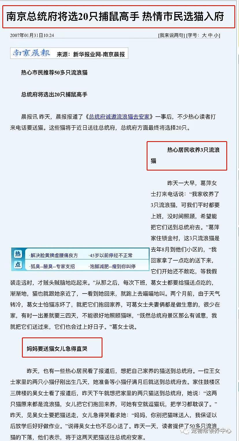 南京总统府曾征集流浪猫捕鼠，说它们是“镇府之宝”，如今却不管猫咪死活了？ - 4