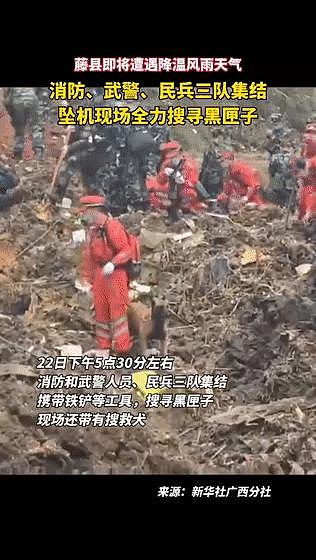 搜救犬加入坠机救援！它们也在为奇迹出现而努力！ - 12